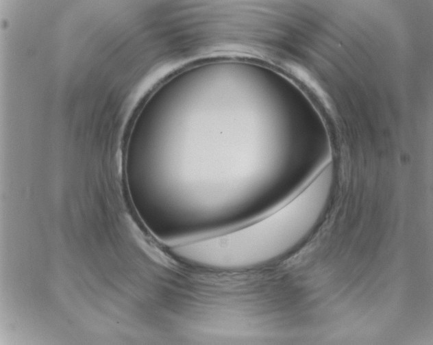 X0000088831372200706071115