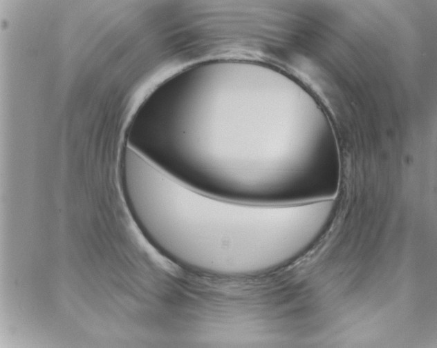 X0000088831379200706071115