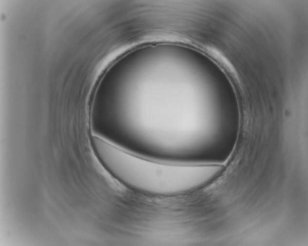 X0000088831380200706071115