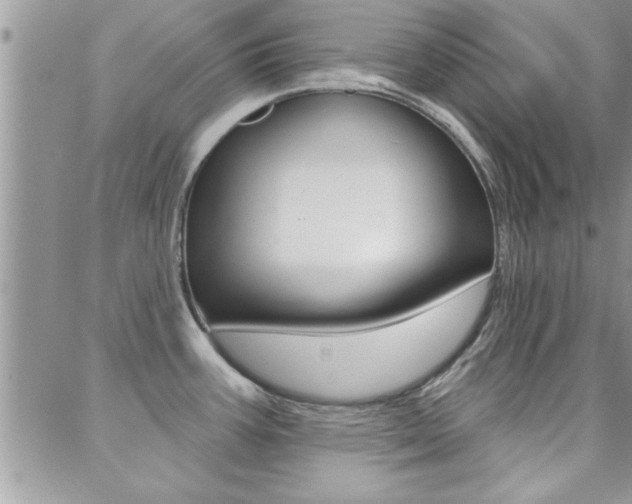 X0000088831387200706071114