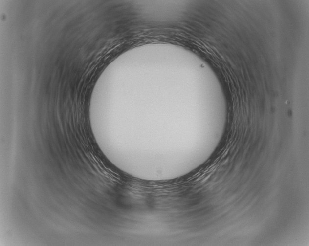 X0000088831394200706071114