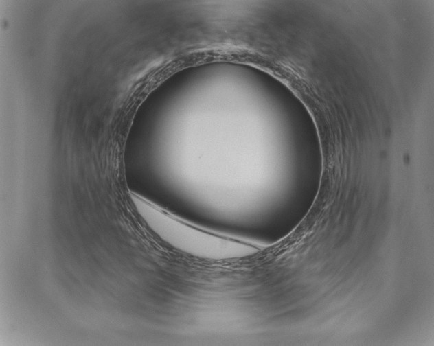 X0000088831398200706071114