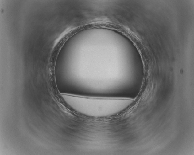 X0000088831400200706071114