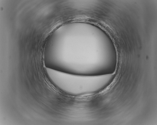 X0000088831401200706071114