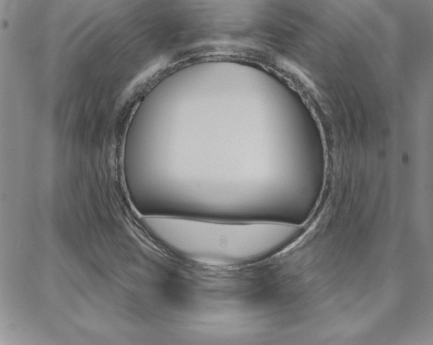 X0000088831403200706071114