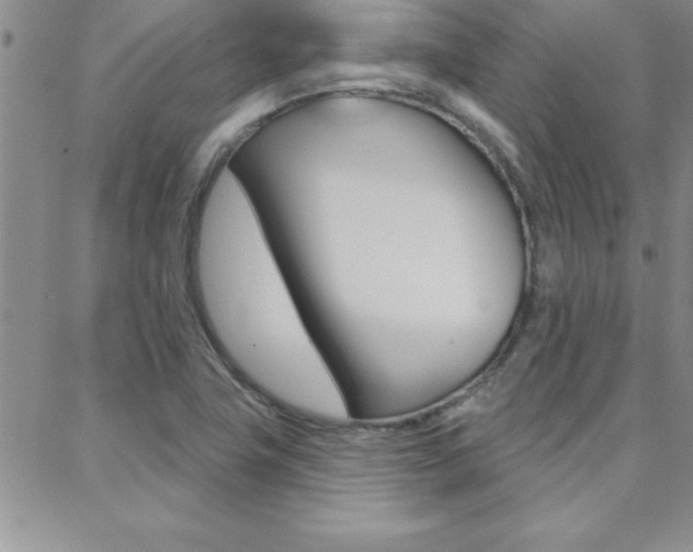 X0000088831411200706071114