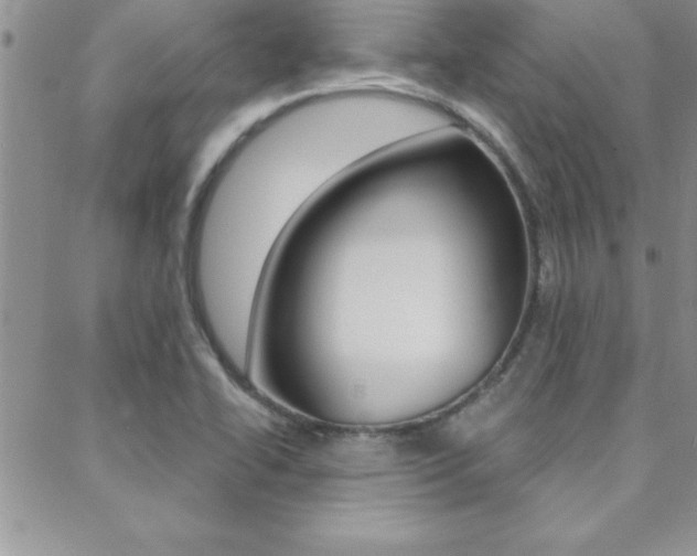 X0000088831414200706071114
