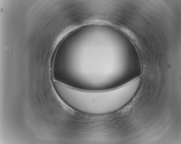 X0000088831430200706071114