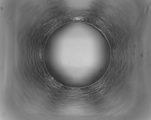 X0000088831442200706071114