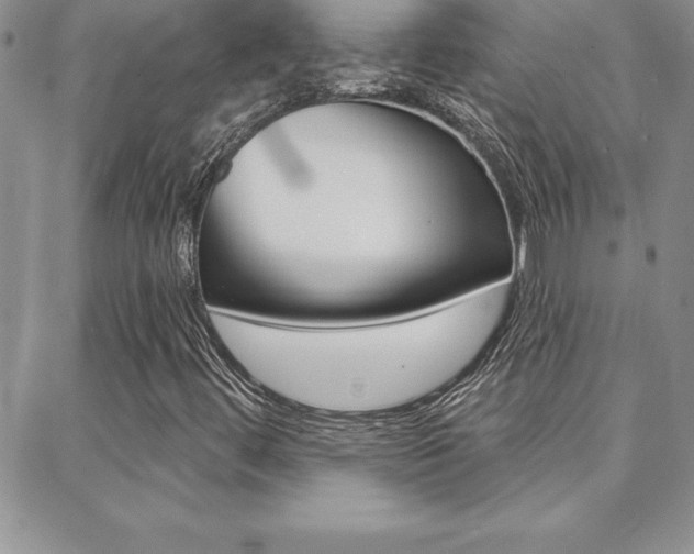 X0000088831444200706071114