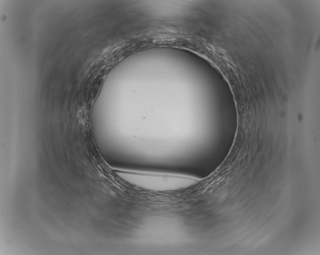 X0000088831445200706071114