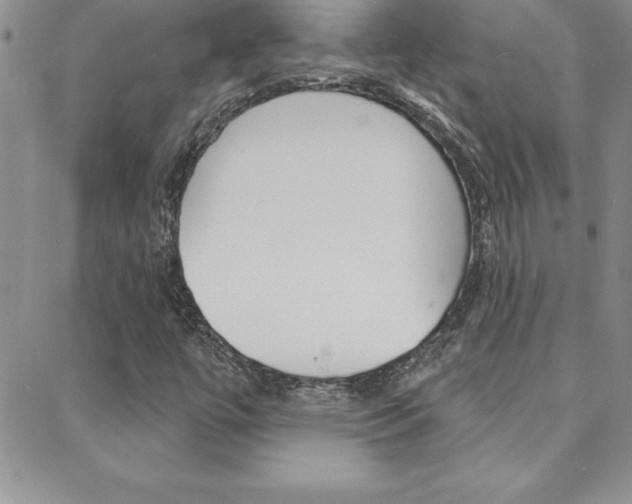 X0000088831447200706071114