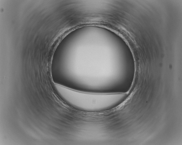 X0000088831449200706071113