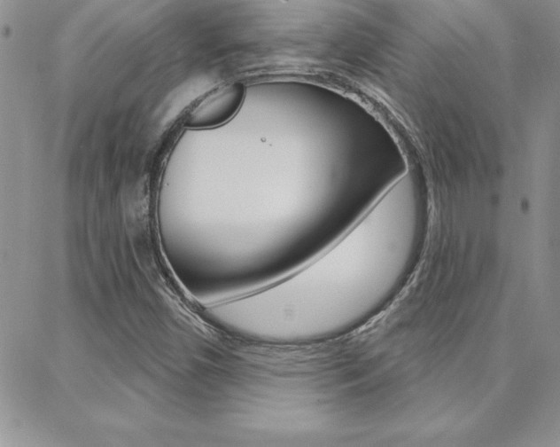 X0000088831450200706071113