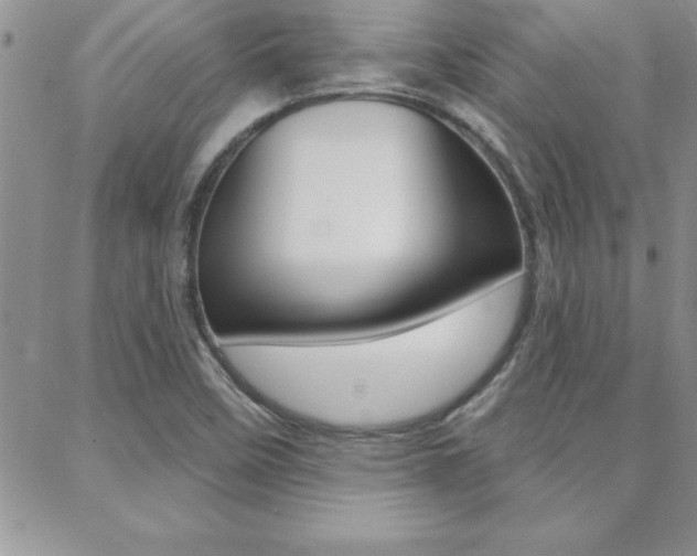 X0000088831458200706071113