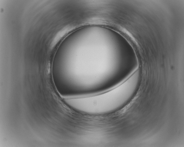 X0000088831461200706071113