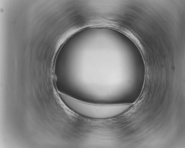 X0000088831485200706071113