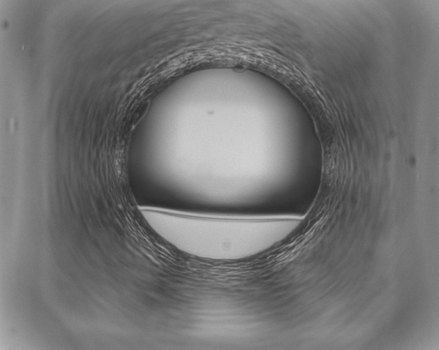 X0000088831490200706071112