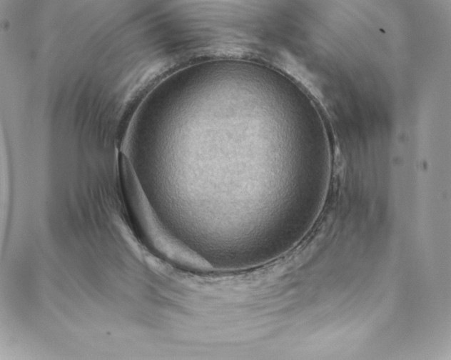 X0000088830013200706071406