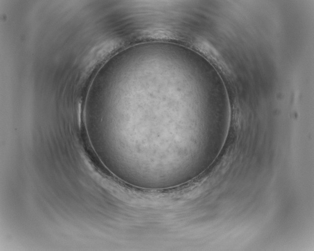 X0000088830014200706071406