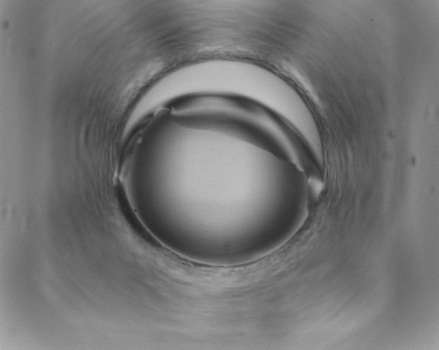 X0000088830023200706071406