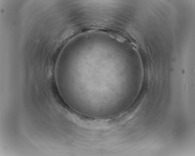 X0000088830032200706071406