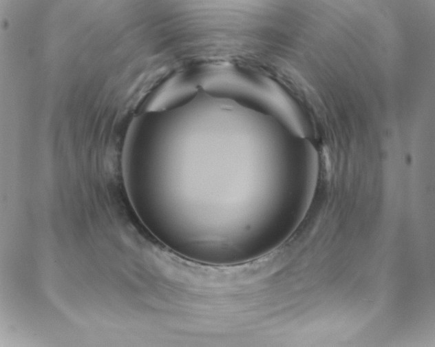X0000088830035200706071406