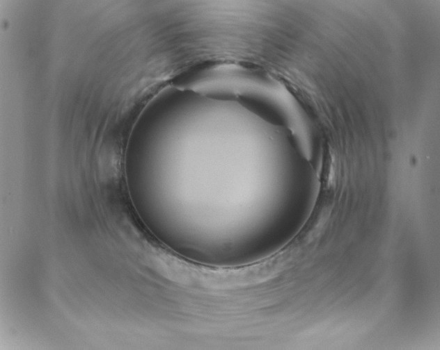 X0000088830039200706071406