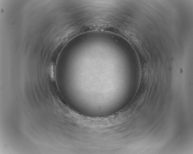X0000088830042200706071406