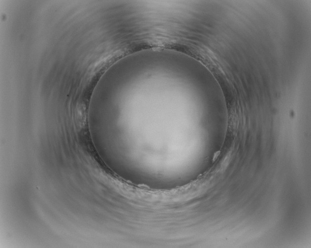 X0000088830043200706071406
