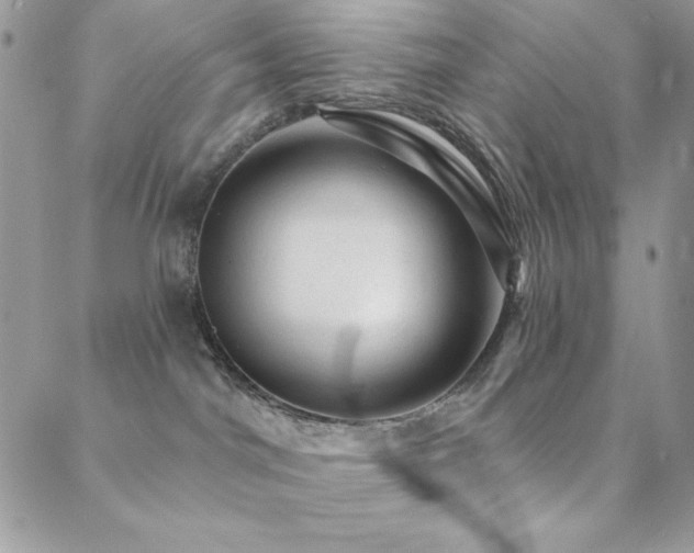 X0000088830044200706071406