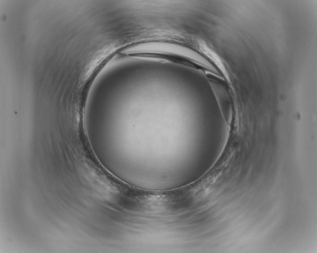 X0000088830059200706071405
