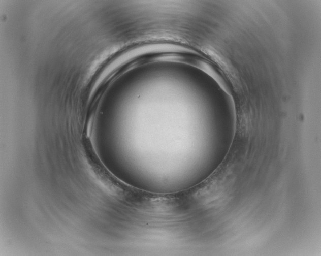 X0000088830064200706071405