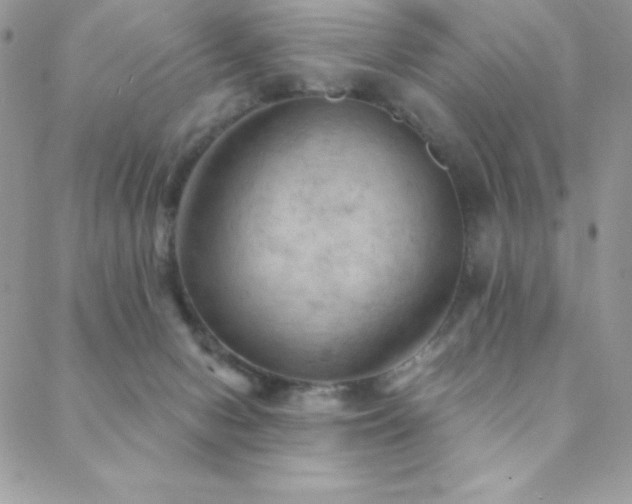 X0000088830078200706071406