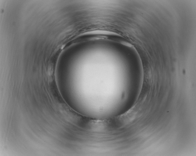 X0000088830082200706071406