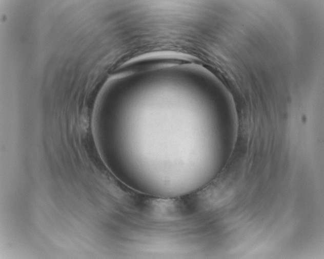 X0000088830085200706071406
