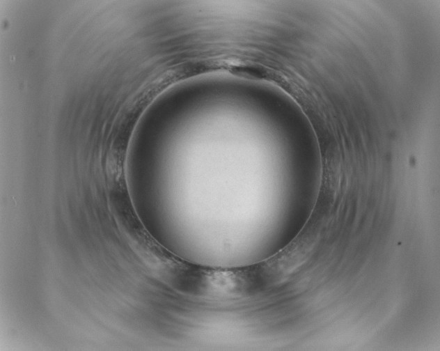 X0000088830091200706071406