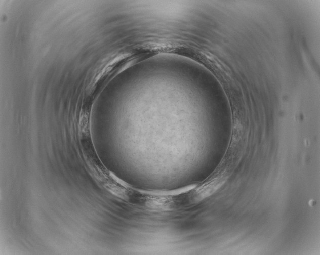 X0000088830096200706071406