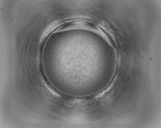 X0000088830101200706071405
