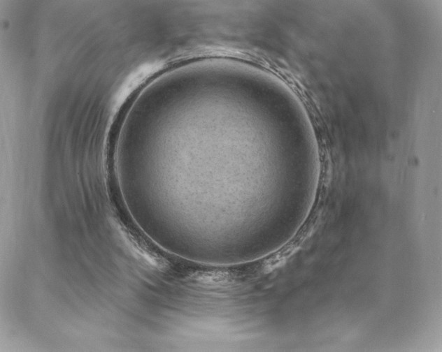 X0000088830104200706071405
