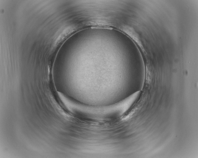 X0000088830109200706071405