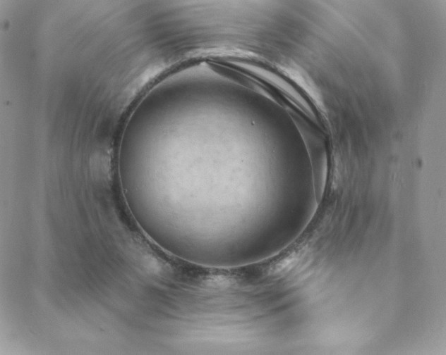 X0000088830111200706071405