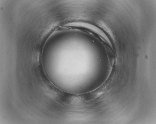 X0000088830115200706071405