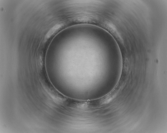 X0000088830116200706071405