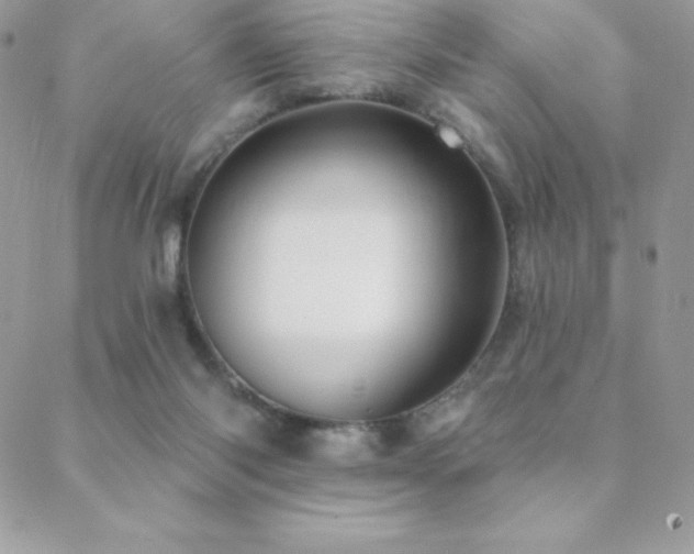 X0000088830118200706071405