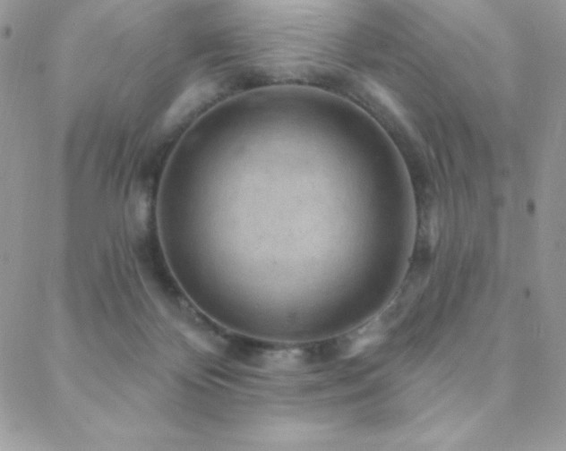 X0000088830124200706071405