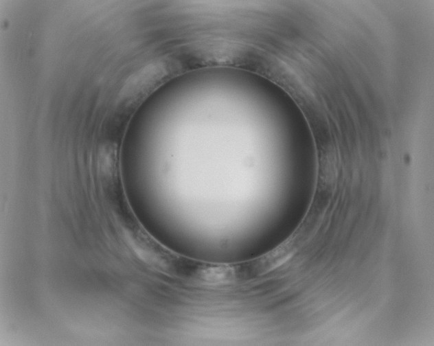 X0000088830126200706071405