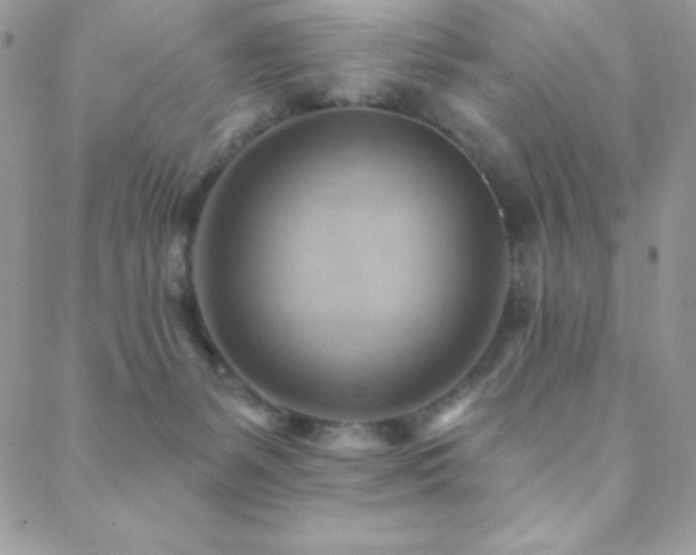 X0000088830127200706071405