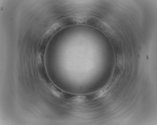 X0000088830128200706071405