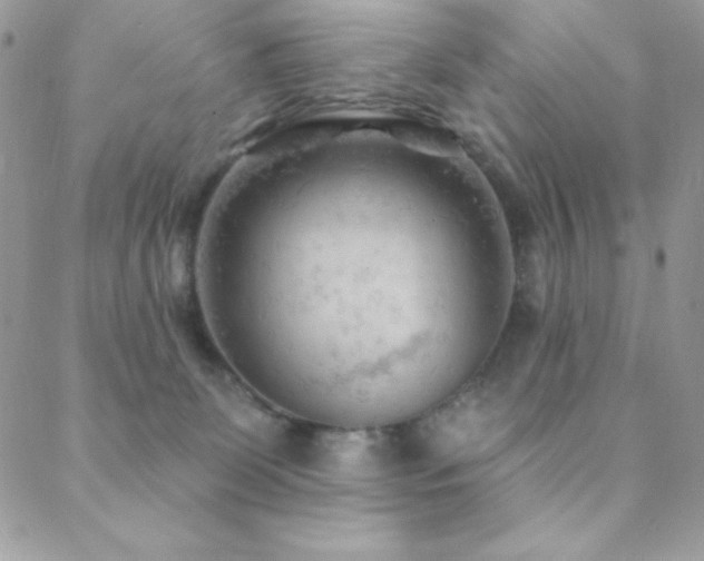 X0000088830131200706071405